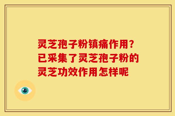 灵芝孢子粉镇痛作用?已采集了灵芝孢子粉的灵芝功效作用怎样呢 灵芝孢子粉镇痛作用?已采集了灵芝孢子粉的灵芝功效作用怎样呢