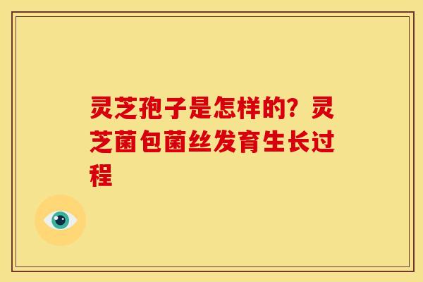 灵芝孢子是怎样的?灵芝菌包菌丝发育生长过程 灵芝孢子是怎样的?灵芝菌包菌丝发育生长过程