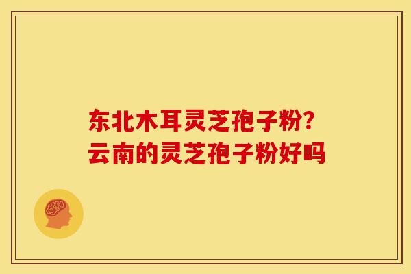 东北木耳灵芝孢子粉?云南的灵芝孢子粉好吗 东北木耳灵芝孢子粉?云南的灵芝孢子粉好吗