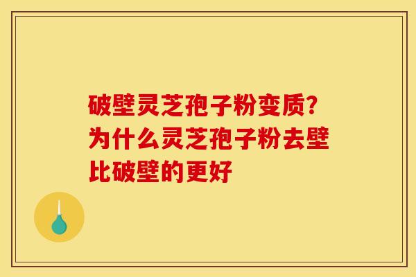 破壁灵芝孢子粉变质?为什么灵芝孢子粉去壁比破壁的更好 破壁灵芝孢子粉变质?为什么灵芝孢子粉去壁比破壁的更好