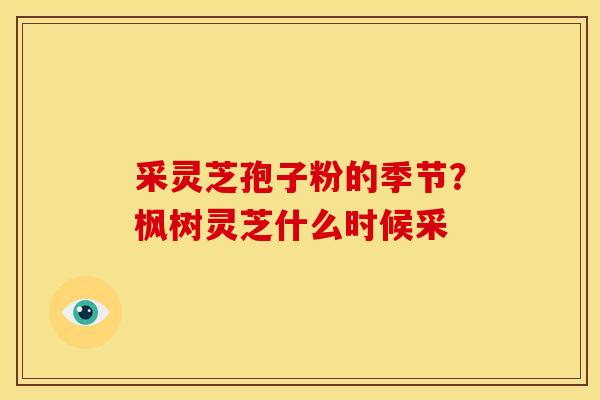 采灵芝孢子粉的季节?枫树灵芝什么时候采 采灵芝孢子粉的季节?枫树灵芝什么时候采