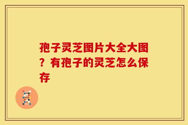 孢子灵芝图片大全大图？有孢子的灵芝怎么保存
