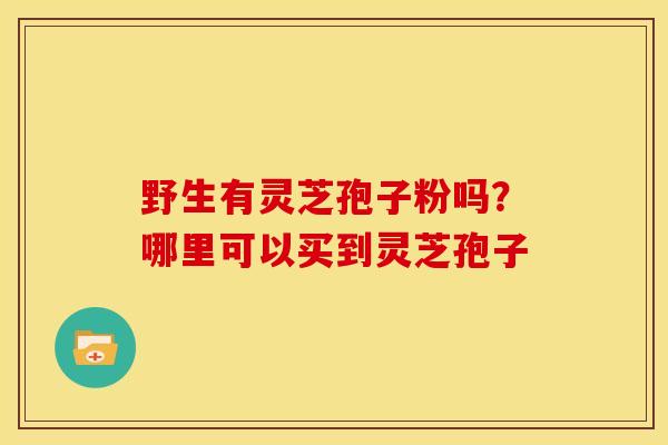 野生有灵芝孢子粉吗?哪里可以买到灵芝孢子 野生有灵芝孢子粉吗?哪里可以买到灵芝孢子