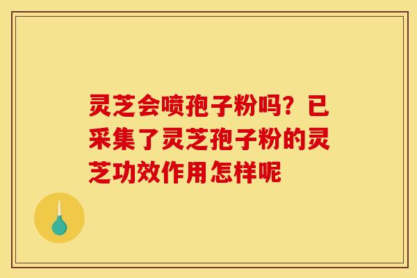 灵芝会喷孢子粉吗?已采集了灵芝孢子粉的灵芝功效作用怎样呢 灵芝会喷孢子粉吗?已采集了灵芝孢子粉的灵芝功效作用怎样呢