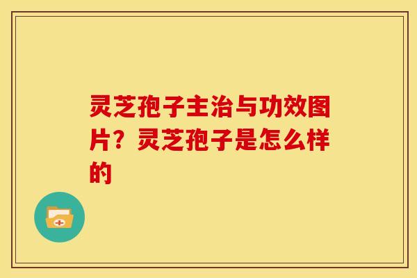 灵芝孢子主与功效图片?灵芝孢子是怎么样的 灵芝孢子主与功效图片?灵芝孢子是怎么样的