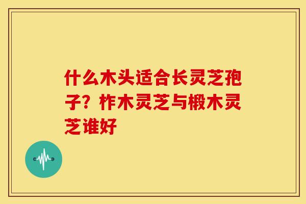 什么木头适合长灵芝孢子?柞木灵芝与椴木灵芝谁好 什么木头适合长灵芝孢子?柞木灵芝与椴木灵芝谁好