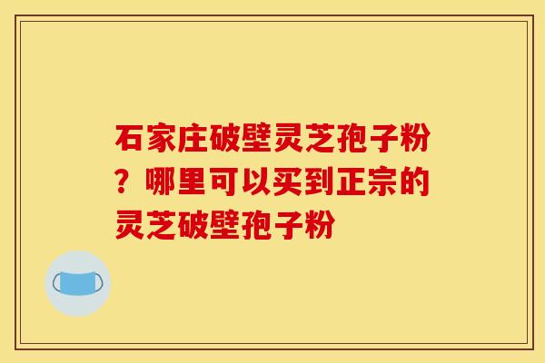 石家庄破壁灵芝孢子粉?哪里可以买到正宗的灵芝破壁孢子粉 石家庄破壁灵芝孢子粉?哪里可以买到正宗的灵芝破壁孢子粉