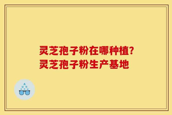 灵芝孢子粉在哪种植？灵芝孢子粉生产基地