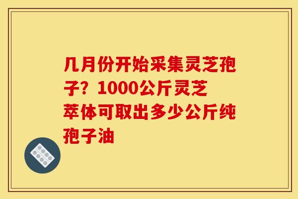 几月份开始采集灵芝孢子?1000公斤灵芝萃体可取出多少公斤纯孢子油 几月份开始采集灵芝孢子?1000公斤灵芝萃体可取出多少公斤纯孢子油