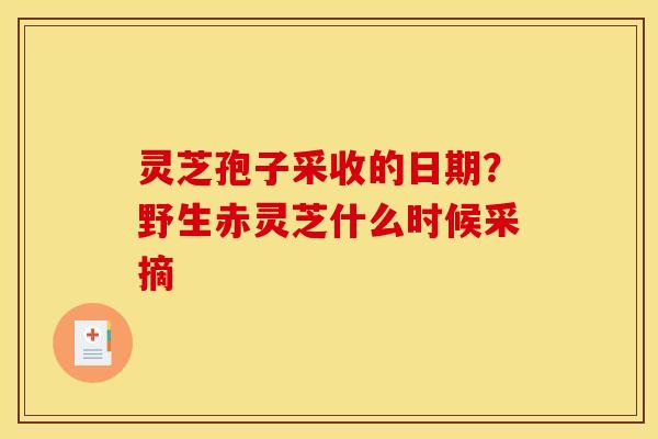 灵芝孢子采收的日期?野生赤灵芝什么时候采摘 灵芝孢子采收的日期?野生赤灵芝什么时候采摘