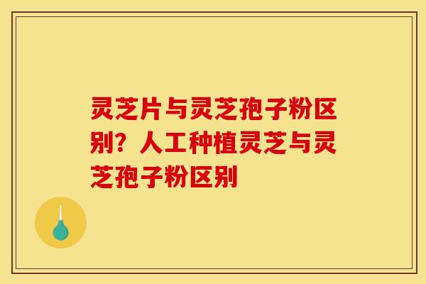 灵芝片与灵芝孢子粉区别?人工种植灵芝与灵芝孢子粉区别 灵芝片与灵芝孢子粉区别?人工种植灵芝与灵芝孢子粉区别