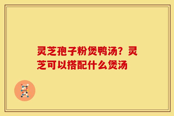 灵芝孢子粉煲鸭汤?灵芝可以搭配什么煲汤 灵芝孢子粉煲鸭汤?灵芝可以搭配什么煲汤