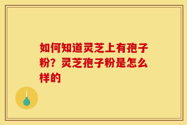 如何知道灵芝上有孢子粉?灵芝孢子粉是怎么样的 如何知道灵芝上有孢子粉?灵芝孢子粉是怎么样的