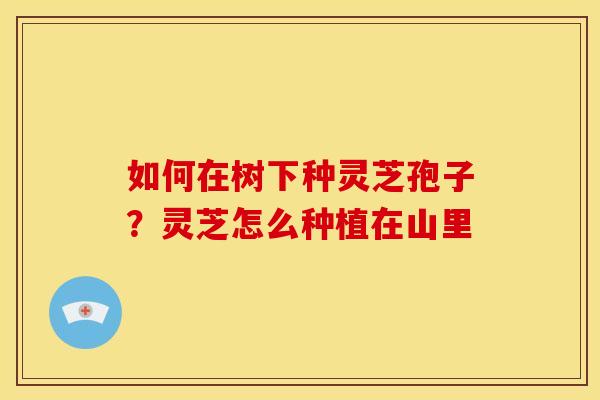 如何在树下种灵芝孢子?灵芝怎么种植在山里 如何在树下种灵芝孢子?灵芝怎么种植在山里
