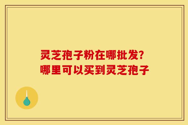 灵芝孢子粉在哪批发？哪里可以买到灵芝孢子