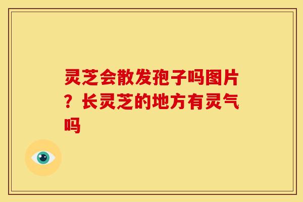 灵芝会散发孢子吗图片？长灵芝的地方有灵气吗