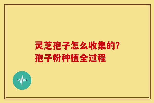 灵芝孢子怎么收集的?孢子粉种植全过程 灵芝孢子怎么收集的?孢子粉种植全过程