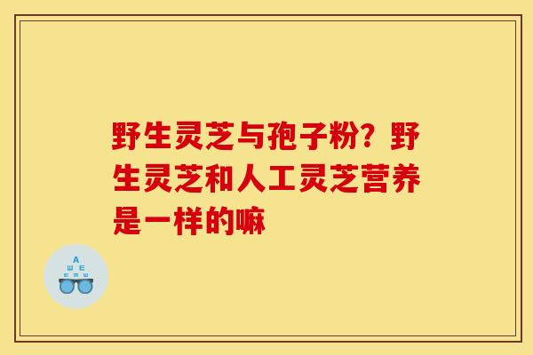 野生灵芝与孢子粉?野生灵芝和人工灵芝营养是一样的嘛 野生灵芝与孢子粉?野生灵芝和人工灵芝营养是一样的嘛