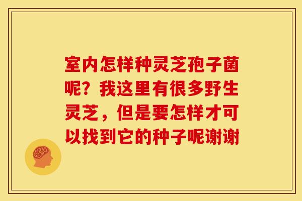 室内怎样种灵芝孢子菌呢?我这里有很多野生灵芝,但是要怎样才可以找到它的种子呢谢谢 室内怎样种灵芝孢子菌呢?我这里有很多野生灵芝,但是要怎样才可以找到它的种子呢谢谢