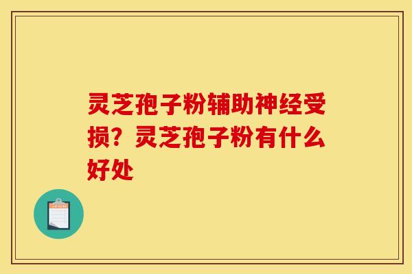 灵芝孢子粉辅助受损?灵芝孢子粉有什么好处 灵芝孢子粉辅助受损?灵芝孢子粉有什么好处