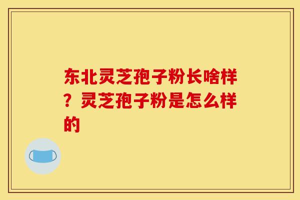 东北灵芝孢子粉长啥样？灵芝孢子粉是怎么样的