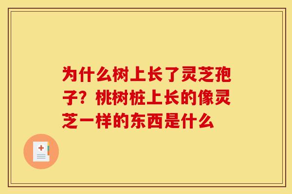 为什么树上长了灵芝孢子?桃树桩上长的像灵芝一样的东西是什么 为什么树上长了灵芝孢子?桃树桩上长的像灵芝一样的东西是什么