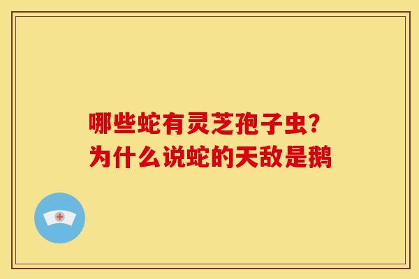 哪些蛇有灵芝孢子虫?为什么说蛇的天敌是鹅 哪些蛇有灵芝孢子虫?为什么说蛇的天敌是鹅
