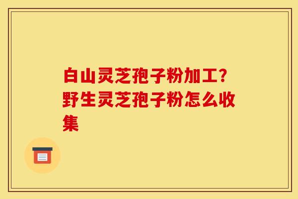 白山灵芝孢子粉加工？野生灵芝孢子粉怎么收集