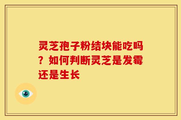 灵芝孢子粉结块能吃吗?如何判断灵芝是发霉还是生长 灵芝孢子粉结块能吃吗?如何判断灵芝是发霉还是生长