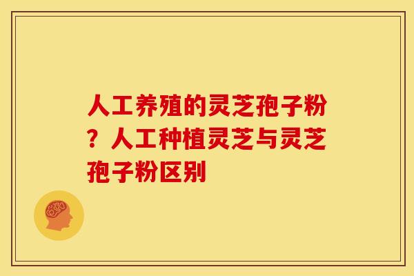 人工养殖的灵芝孢子粉?人工种植灵芝与灵芝孢子粉区别 人工养殖的灵芝孢子粉?人工种植灵芝与灵芝孢子粉区别