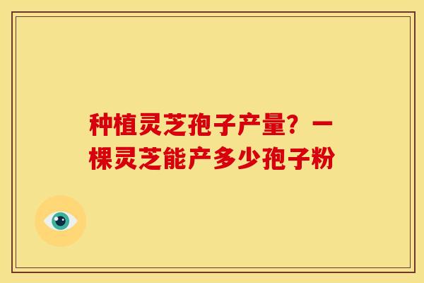 种植灵芝孢子产量?一棵灵芝能产多少孢子粉 种植灵芝孢子产量?一棵灵芝能产多少孢子粉