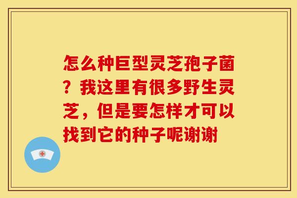 怎么种巨型灵芝孢子菌?我这里有很多野生灵芝,但是要怎样才可以找到它的种子呢谢谢 怎么种巨型灵芝孢子菌?我这里有很多野生灵芝,但是要怎样才可以找到它的种子呢谢谢