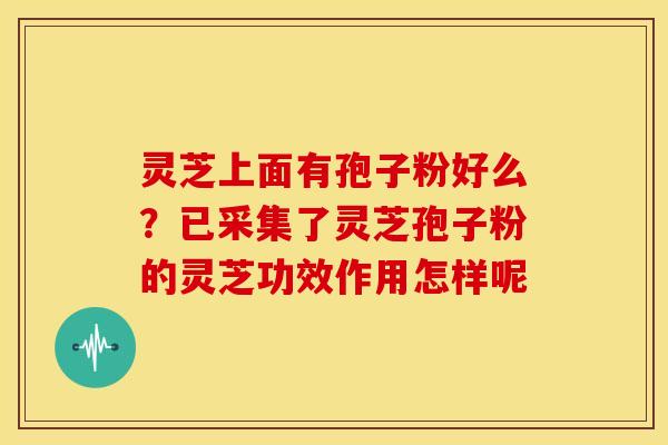 灵芝上面有孢子粉好么?已采集了灵芝孢子粉的灵芝功效作用怎样呢 灵芝上面有孢子粉好么?已采集了灵芝孢子粉的灵芝功效作用怎样呢
