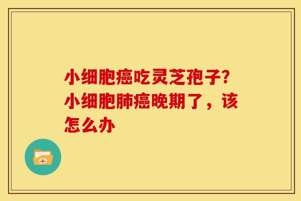 小细胞吃灵芝孢子?小细胞晚期了,该怎么办 小细胞吃灵芝孢子?小细胞晚期了,该怎么办