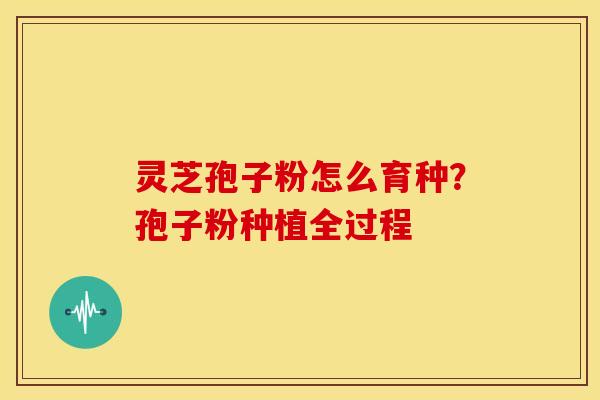 灵芝孢子粉怎么育种?孢子粉种植全过程 灵芝孢子粉怎么育种?孢子粉种植全过程