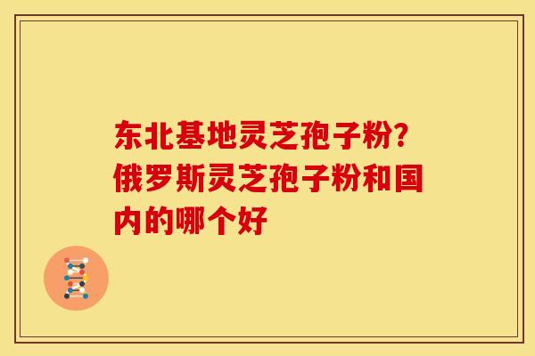 东北基地灵芝孢子粉?俄罗斯灵芝孢子粉和国内的哪个好 东北基地灵芝孢子粉?俄罗斯灵芝孢子粉和国内的哪个好