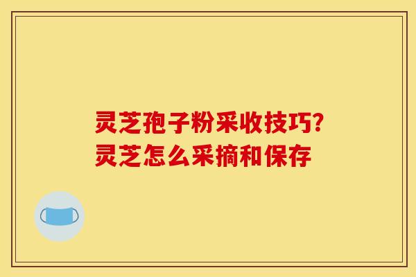 灵芝孢子粉采收技巧？灵芝怎么采摘和保存