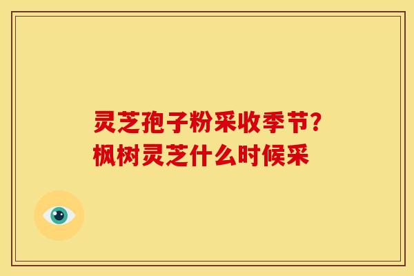 灵芝孢子粉采收季节？枫树灵芝什么时候采