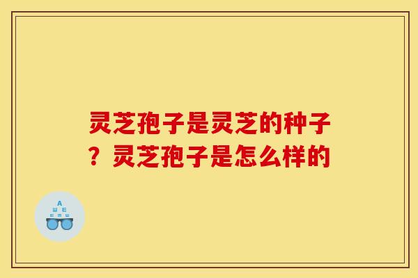 灵芝孢子是灵芝的种子?灵芝孢子是怎么样的 灵芝孢子是灵芝的种子?灵芝孢子是怎么样的