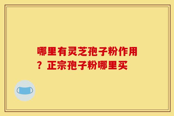 哪里有灵芝孢子粉作用?正宗孢子粉哪里买 哪里有灵芝孢子粉作用?正宗孢子粉哪里买