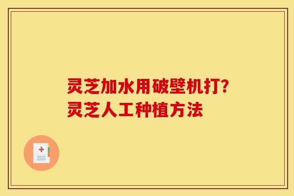 灵芝加水用破壁机打?灵芝人工种植方法 灵芝加水用破壁机打?灵芝人工种植方法