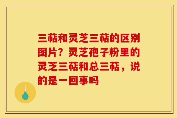 三萜和灵芝三萜的区别图片?灵芝孢子粉里的灵芝三萜和总三萜,说的是一回事吗 三萜和灵芝三萜的区别图片?灵芝孢子粉里的灵芝三萜和总三萜,说的是一回事吗