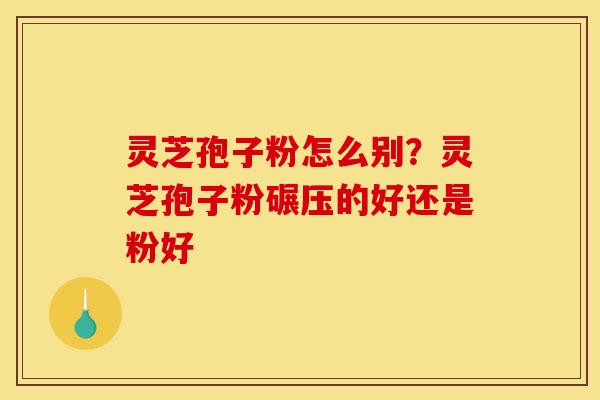 灵芝孢子粉怎么别?灵芝孢子粉碾压的好还是粉好 灵芝孢子粉怎么别?灵芝孢子粉碾压的好还是粉好