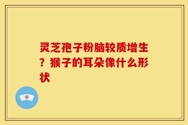 灵芝孢子粉脑较质增生?猴子的耳朵像什么形状 灵芝孢子粉脑较质增生?猴子的耳朵像什么形状
