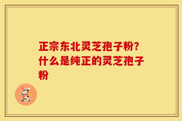 正宗东北灵芝孢子粉？什么是纯正的灵芝孢子粉