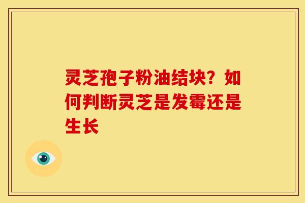 灵芝孢子粉油结块？如何判断灵芝是发霉还是生长