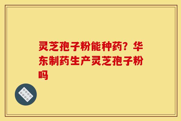 灵芝孢子粉能种药?华东制药生产灵芝孢子粉吗 灵芝孢子粉能种药?华东制药生产灵芝孢子粉吗