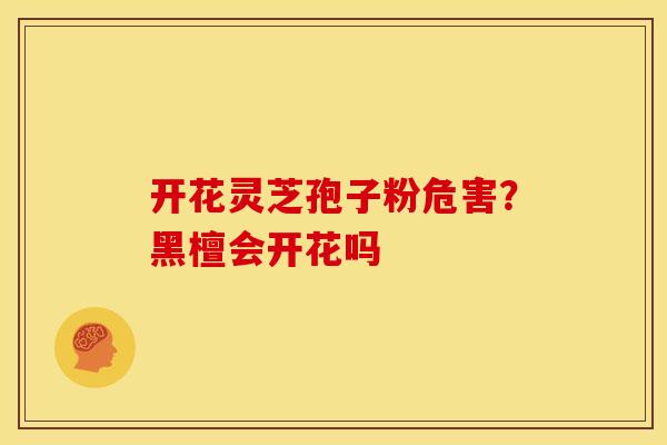开花灵芝孢子粉危害?黑檀会开花吗 开花灵芝孢子粉危害?黑檀会开花吗