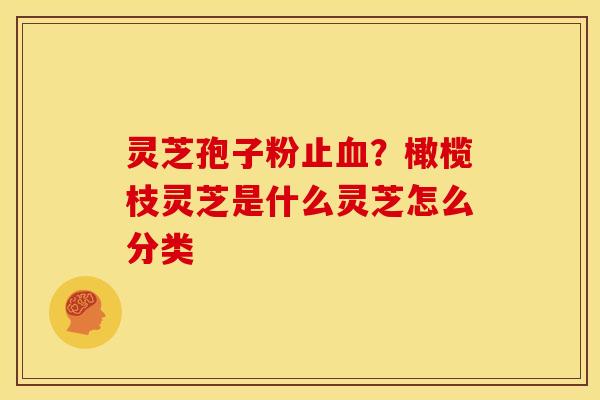 灵芝孢子粉止?橄榄枝灵芝是什么灵芝怎么分类 灵芝孢子粉止?橄榄枝灵芝是什么灵芝怎么分类