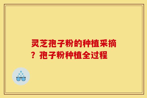 灵芝孢子粉的种植采摘?孢子粉种植全过程 灵芝孢子粉的种植采摘?孢子粉种植全过程